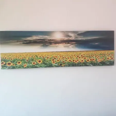 Apartment Il Girasole *